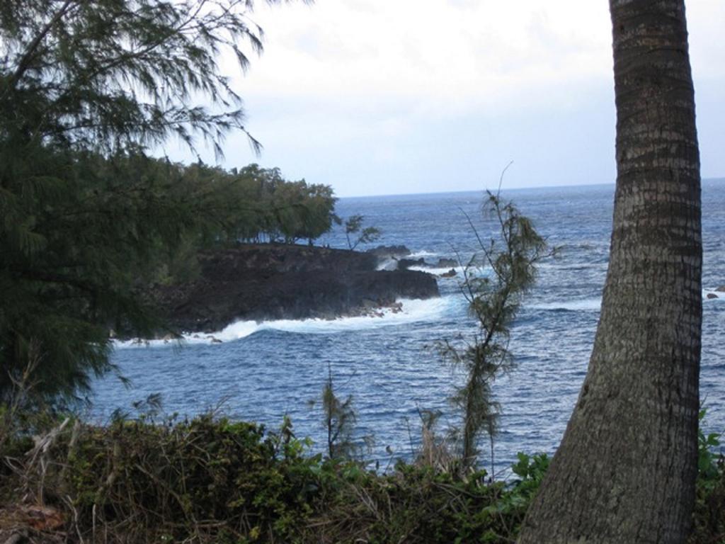 Coconut Palms Vacation Rental Near Lava Fields And Beaches Kehena ภายนอก รูปภาพ