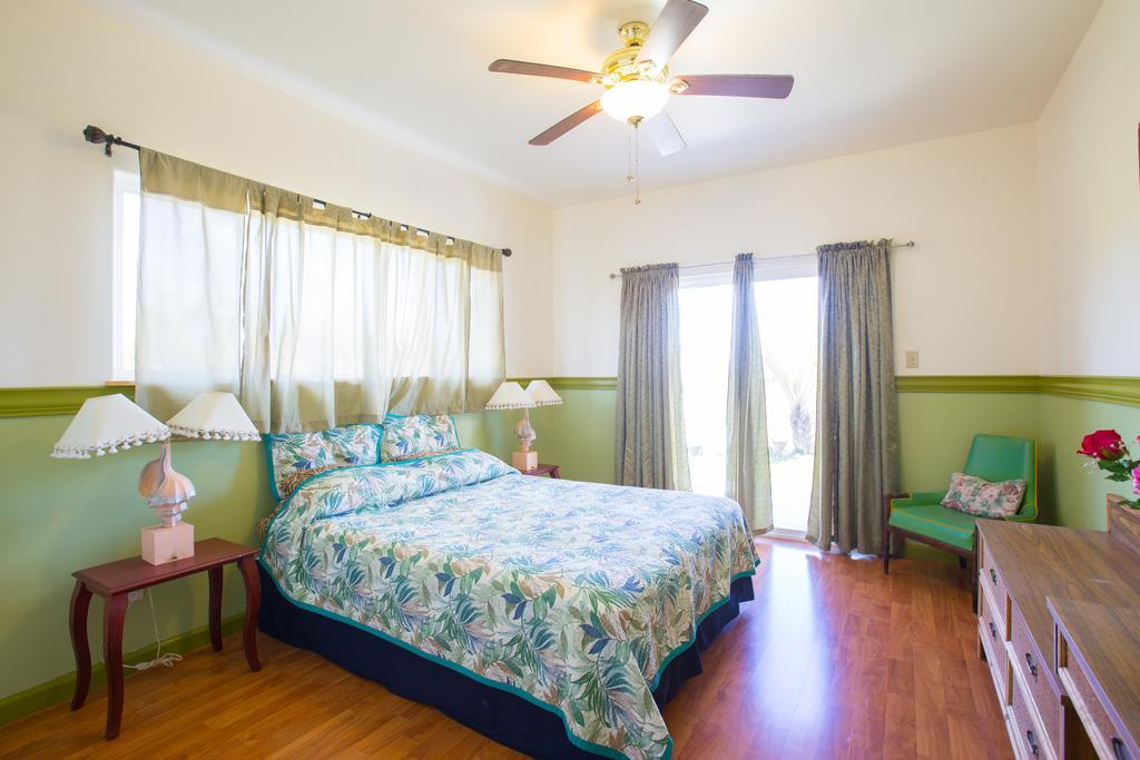 Coconut Palms Vacation Rental Near Lava Fields And Beaches Kehena ภายนอก รูปภาพ