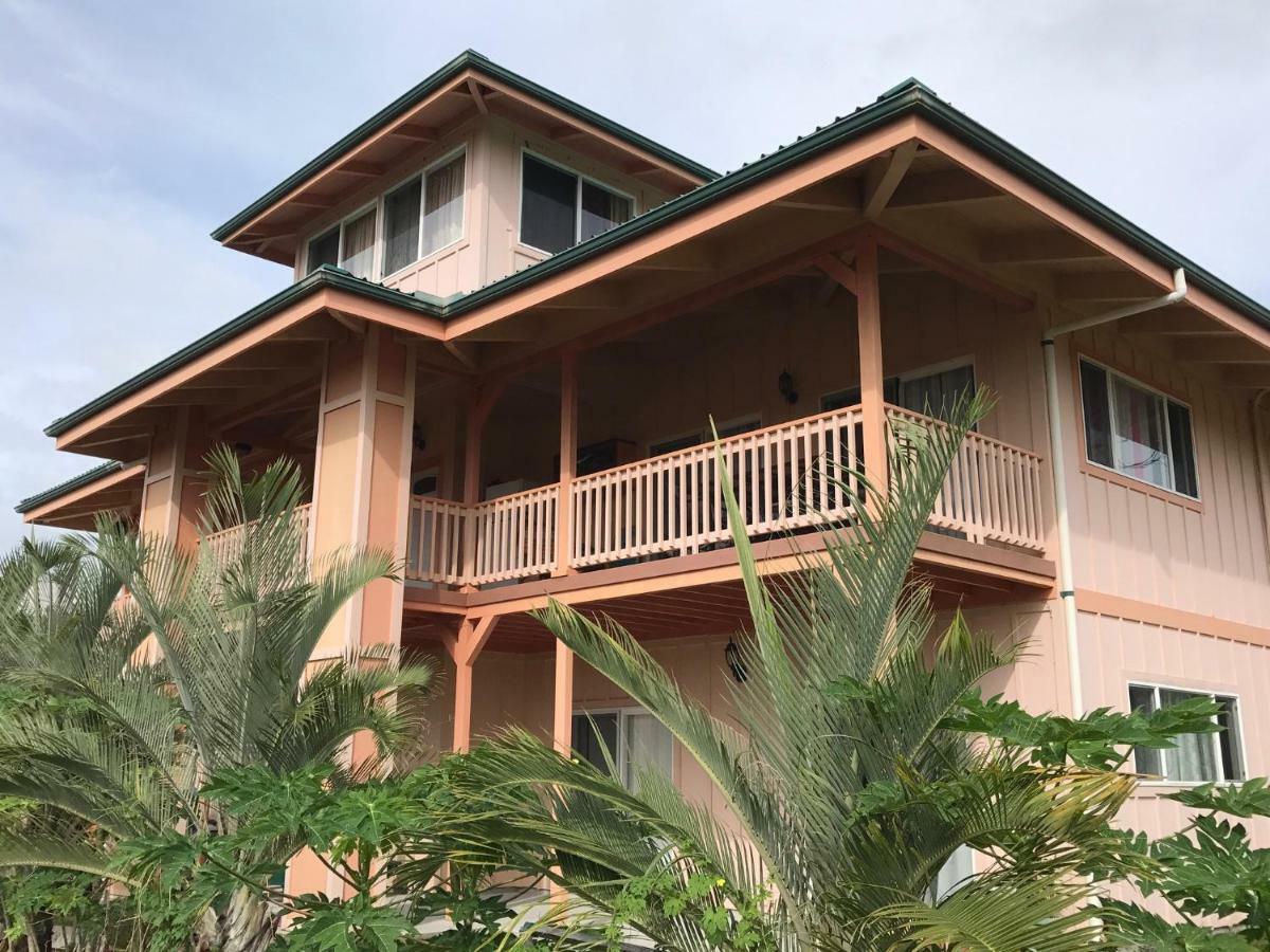 Coconut Palms Vacation Rental Near Lava Fields And Beaches Kehena ภายนอก รูปภาพ
